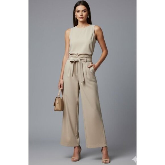 Halogen Women's Beige Pleated Front  High Waisted Wide Leg Trouser Size 0 - Picture 1 of 11
